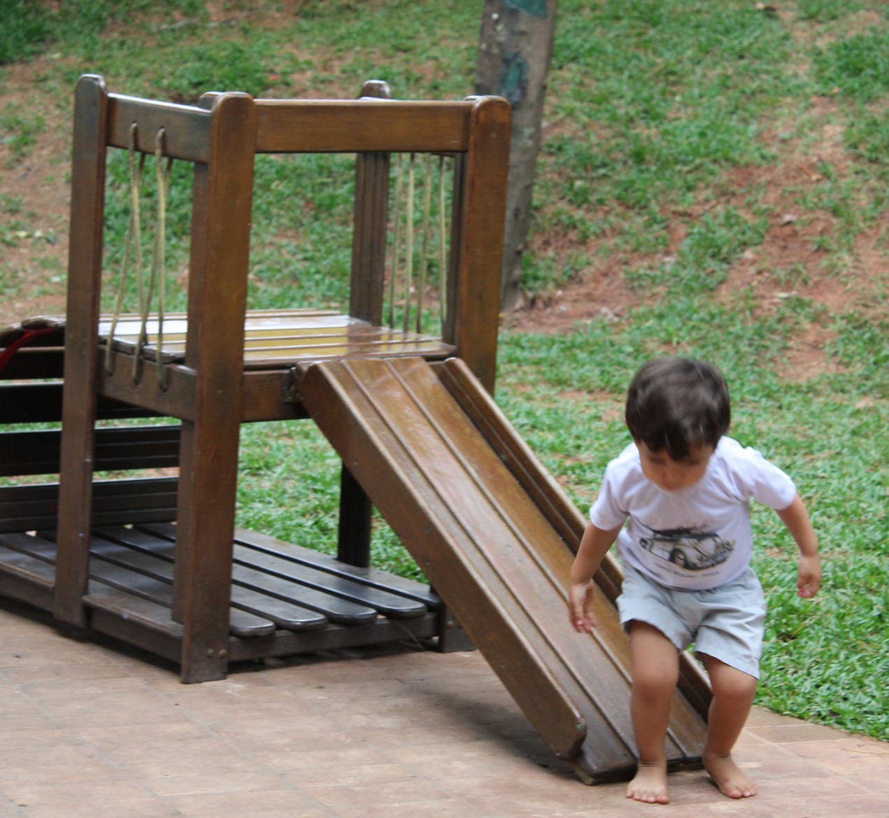 Um ano inteiro de chuva