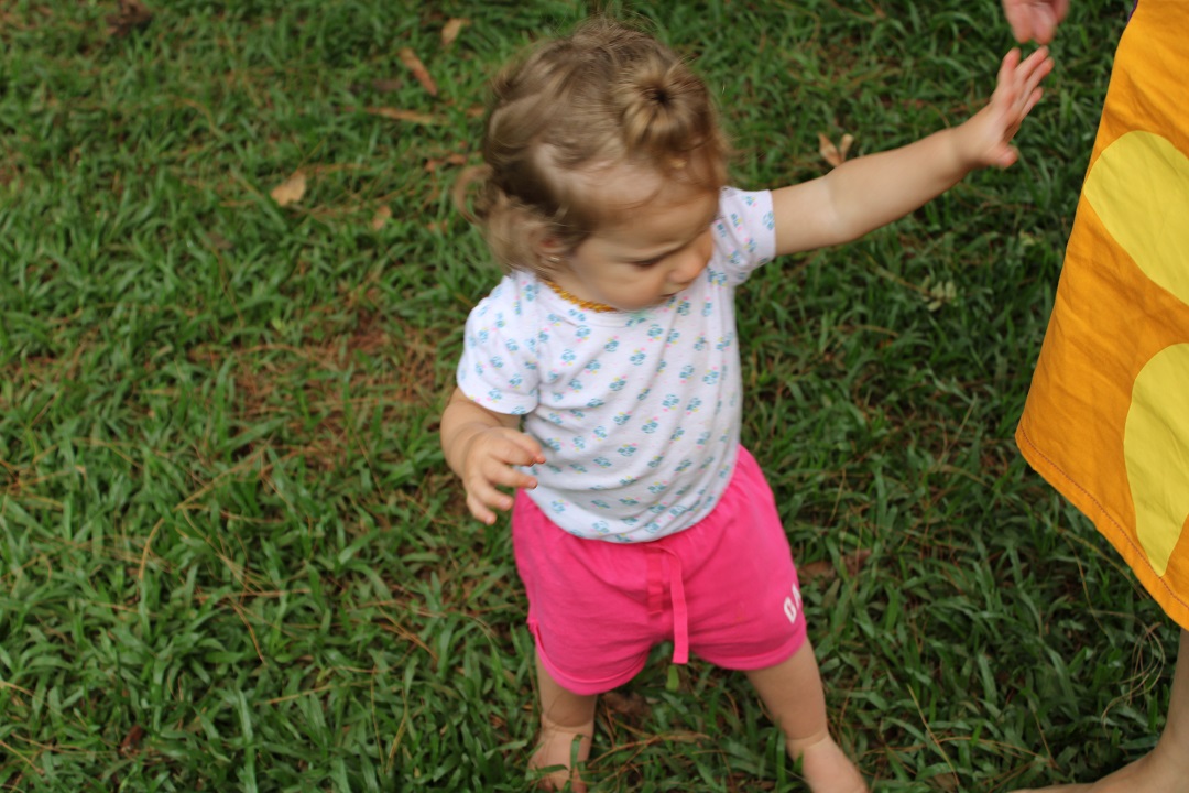 A adaptação escolar em época de pandemia