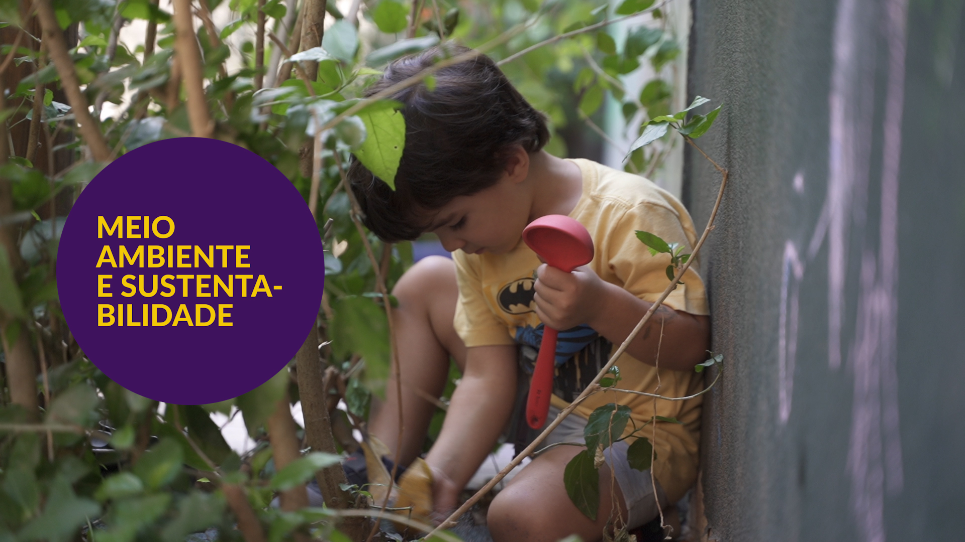 Sustentabilidade como ação coletiva