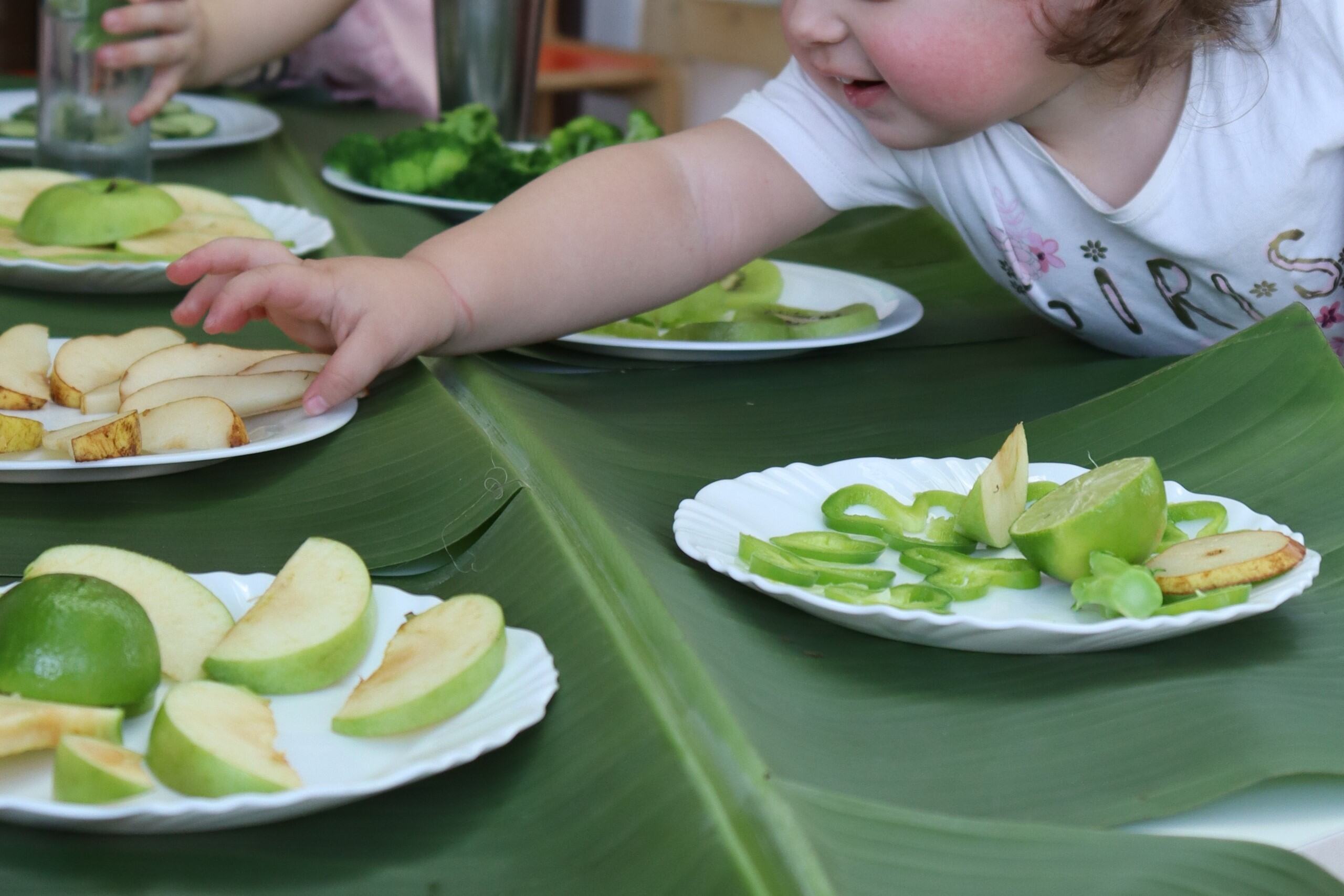 Ekoa documenta: O sabor das cores