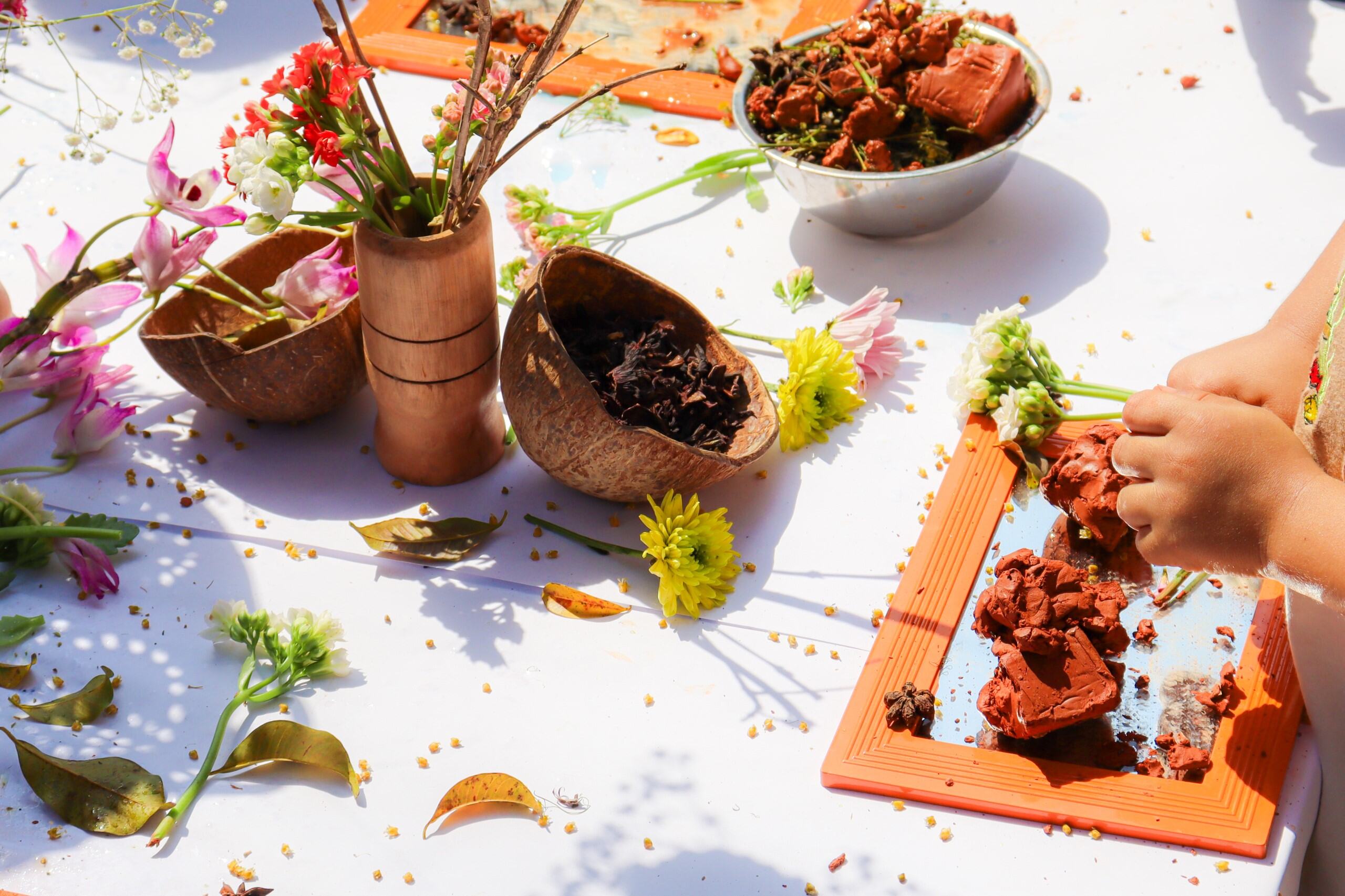 Ekoa acontece: Oficina da Primavera 2024