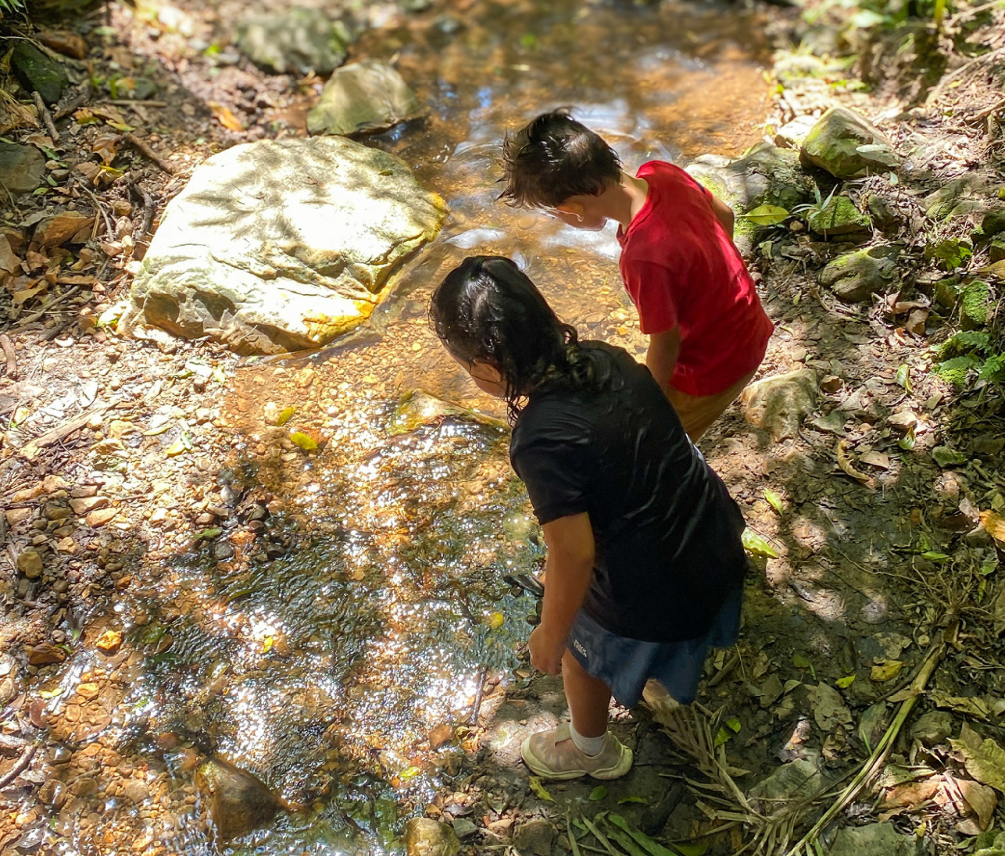 Ekoa acontece: ekoa, criança e natureza