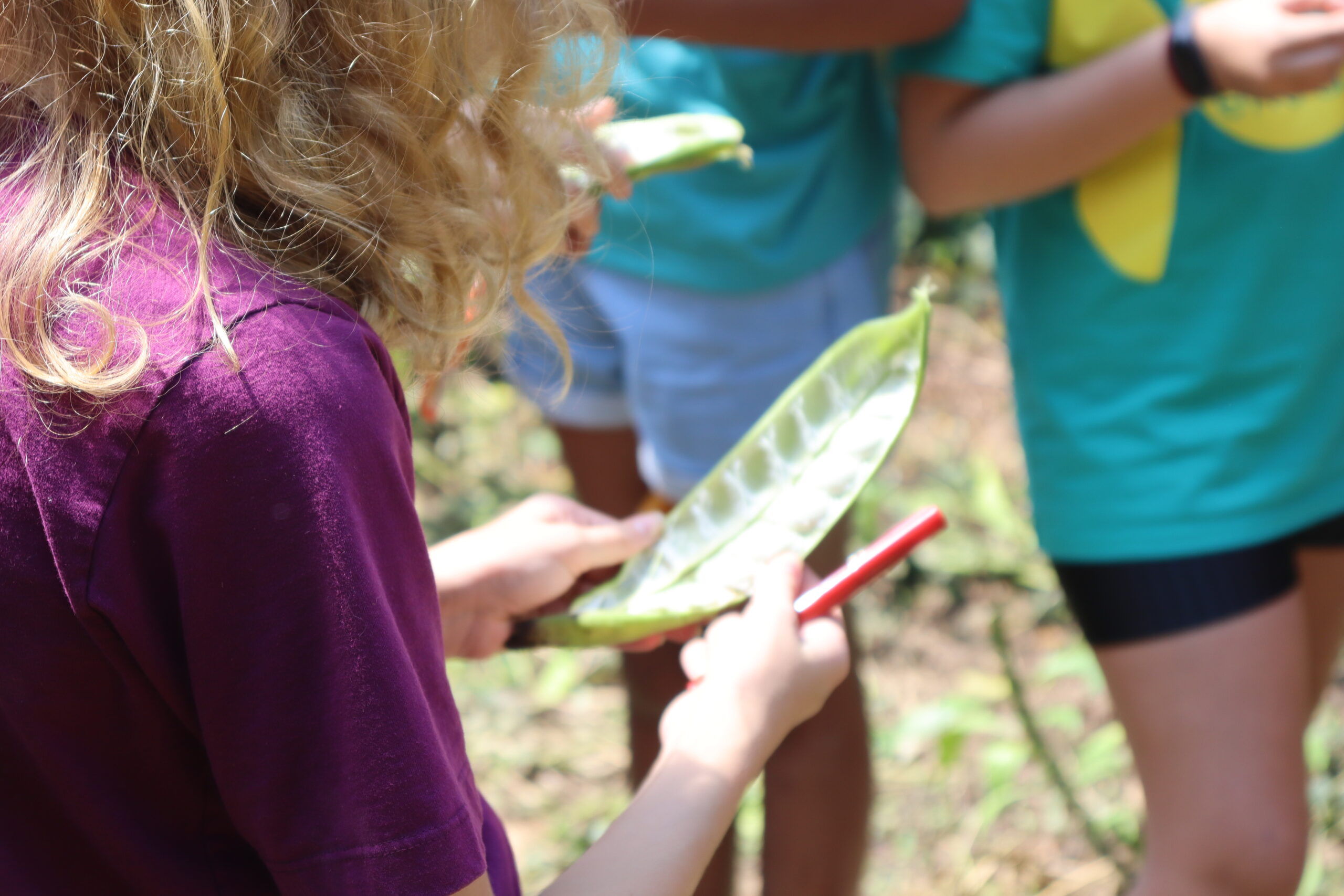 Ekoa documenta: Nossa comida de todo dia